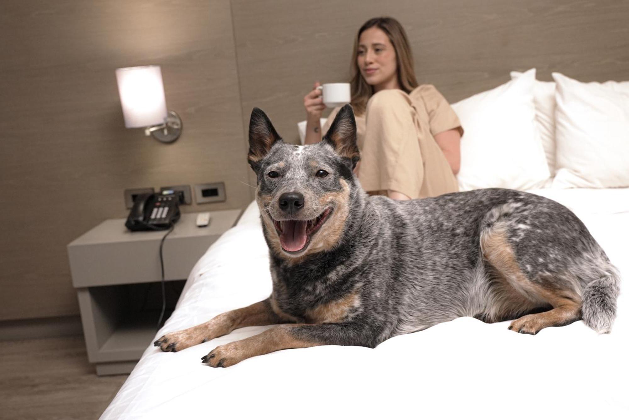 Holiday Inn Express Bogota - Parque La 93 By Ihg Ngoại thất bức ảnh